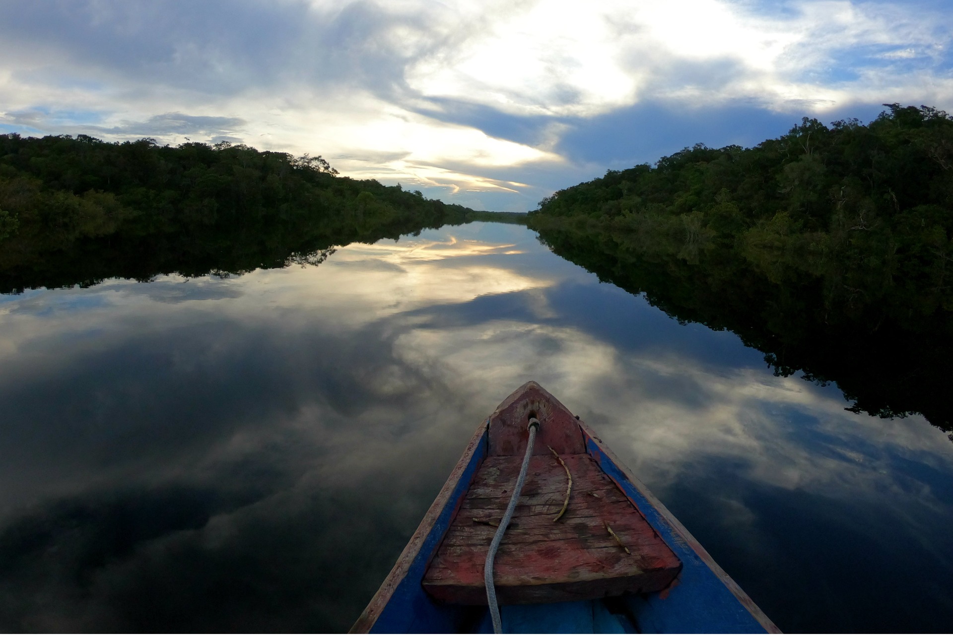 Baré Connection  Immersive, interactive and online journey that connects you with the Baré indigenous people of the Nova Esperança community in the Amazon rainforest!