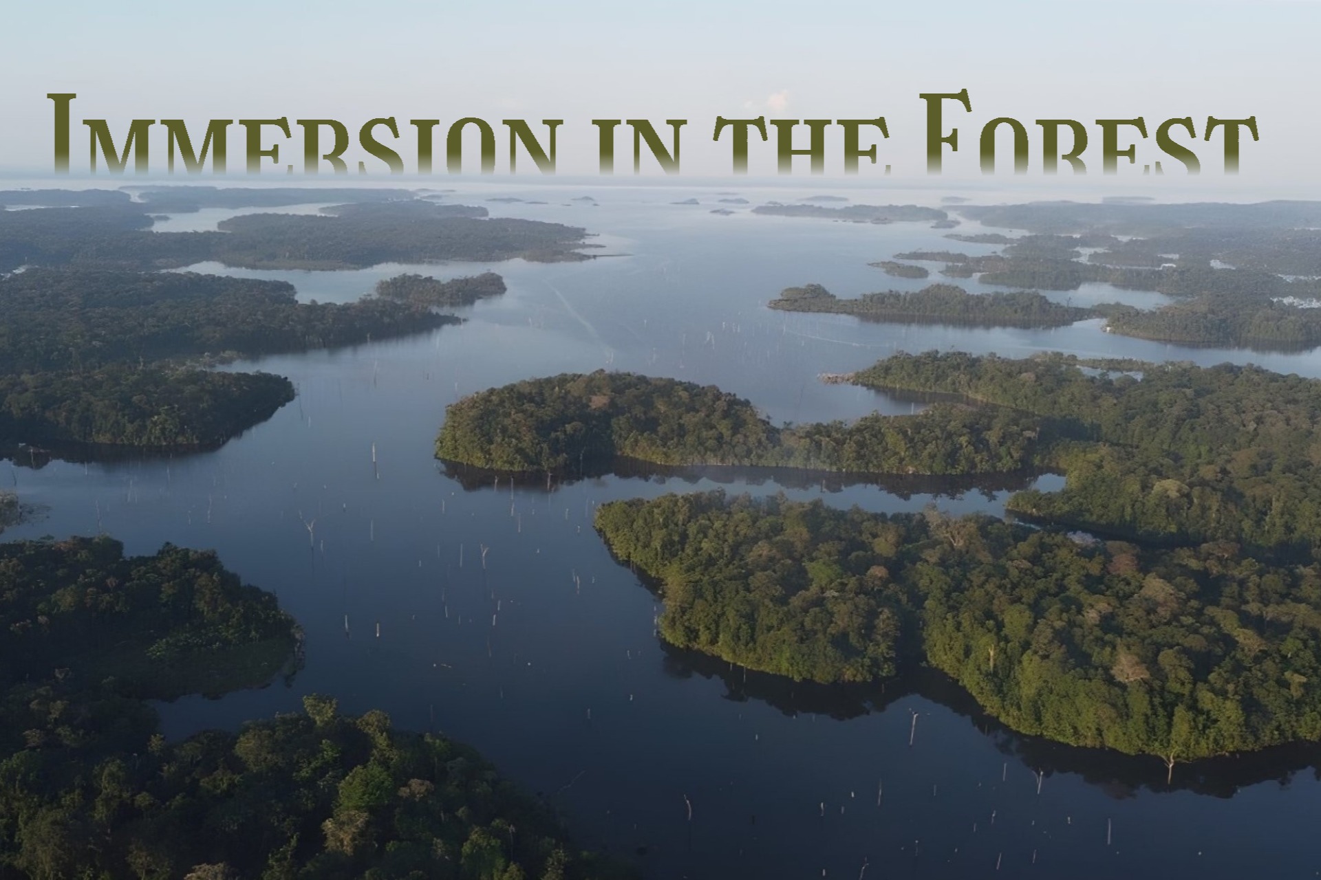 In the heart of the Amazon, co-live with natives