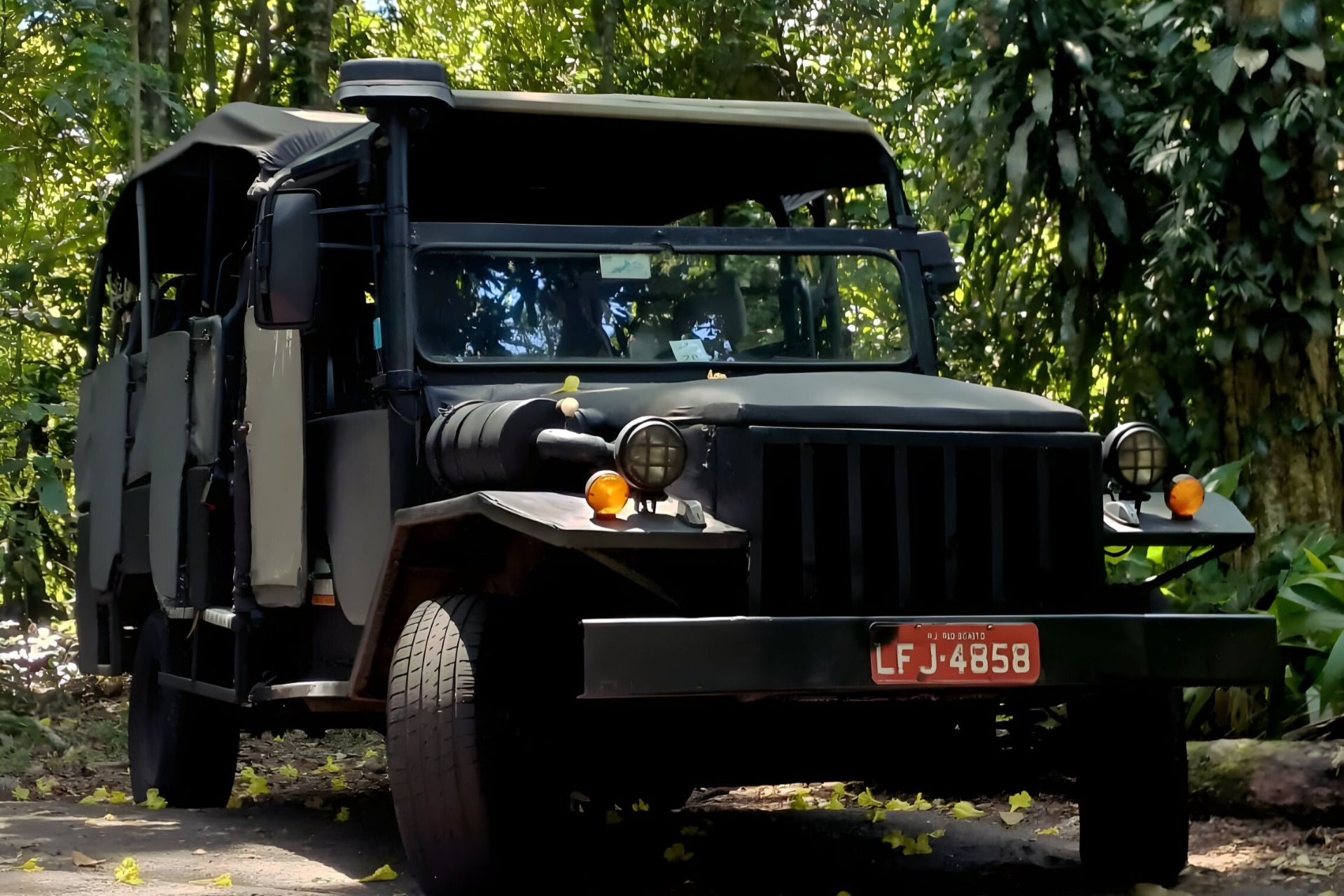 Jeep Tour Rio El contraste entre la vida urbana y la Mata Atlántica