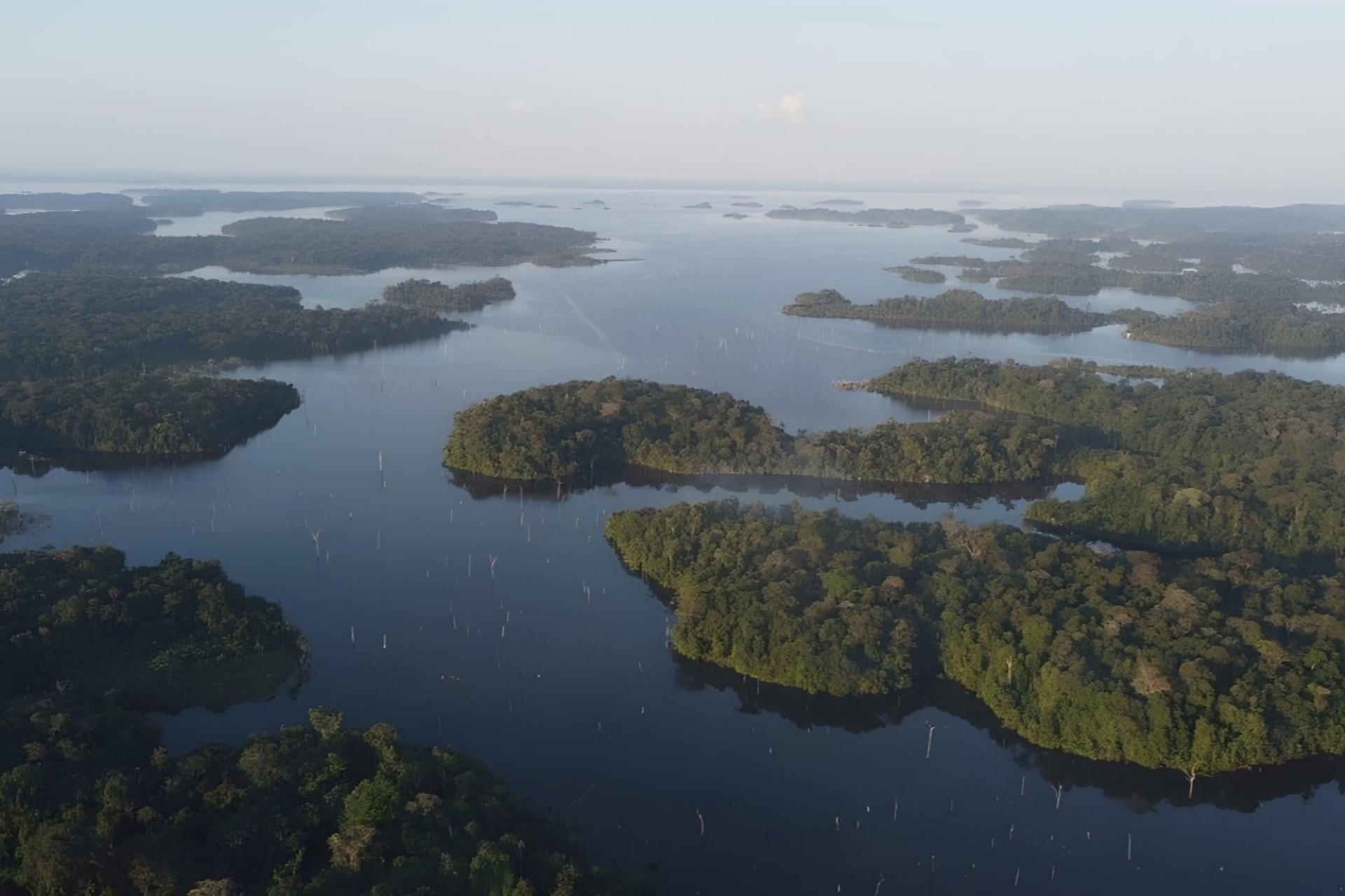 Plongez au cœur de la forêt amazonienne et vivez comme les autochtones