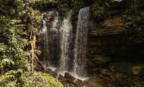 4 days of adventure in the rainforest