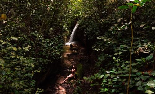 4 days of adventure in the rainforest