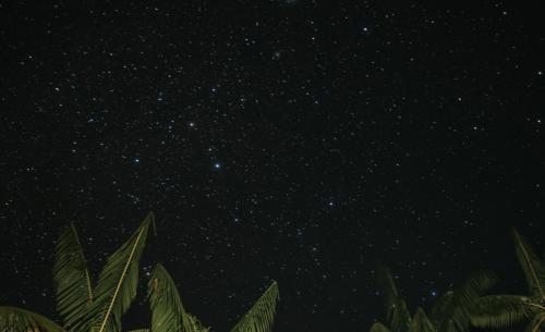 4 days of adventure in the rainforest