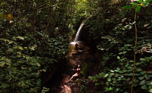 4 Tage Abenteuer im Wald