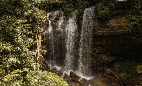 4 Tage Abenteuer im Wald