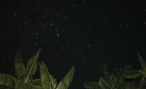 Cachoeiras da Amazonia