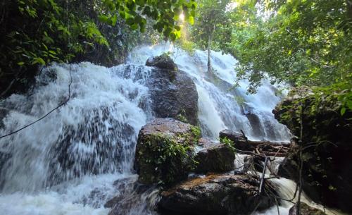 Cachoeiras da Amazonia