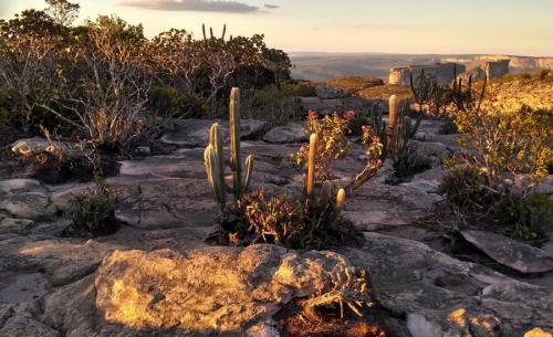 Chapada Diamantina