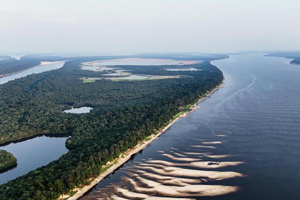 Imersão na Floresta