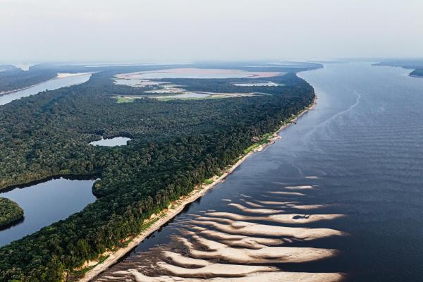 Inmersión en la Selva