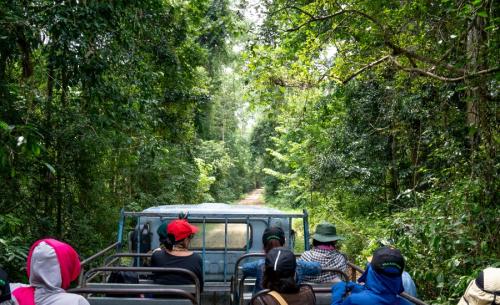 Jeep Tour Rio