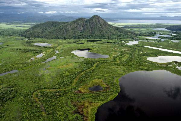 Pantanal