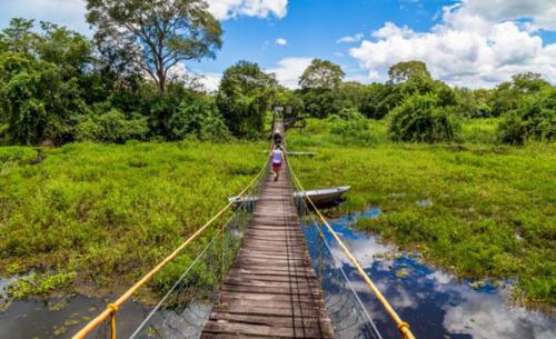 Pantanal