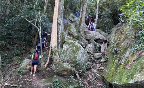 Pedra da Gávea Wanderweg