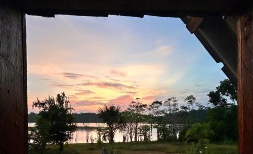 Imersão no coração da floresta amazônica, sinta uma experiência como os nativos