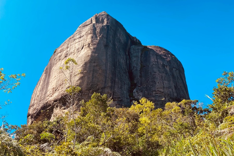 A trilha da Pedra da Gávea