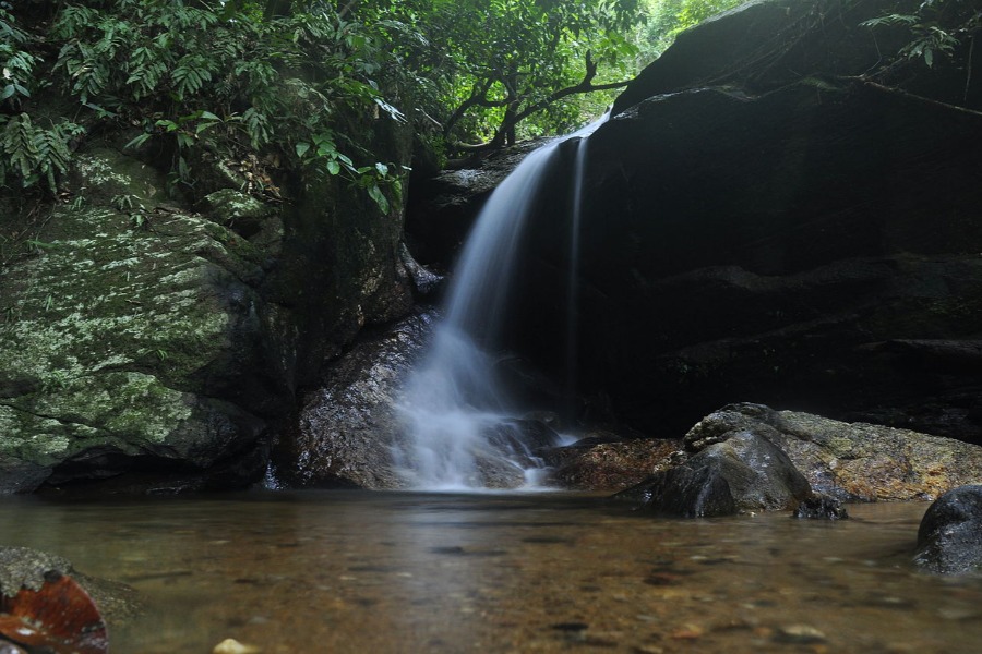 Chutes d'eau de la forêt de Tijuca