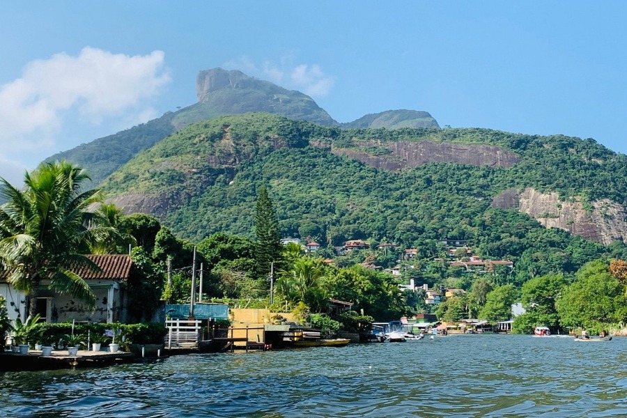 Ilha da Gigóia: O Pantanal do Rio de Janeiro