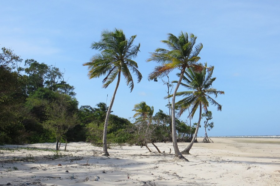 Isla de Marajó