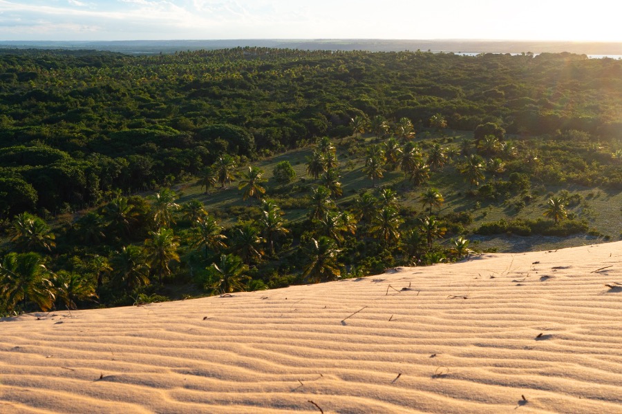 The dunes of Cacimbinhas