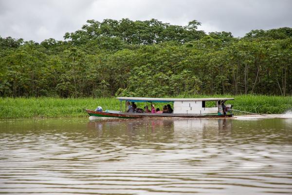 A reserva sustentável Mamirauá