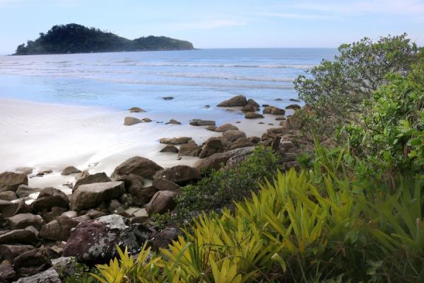 Isla de Cardoso