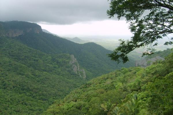 O Parque Nacional Ubajara