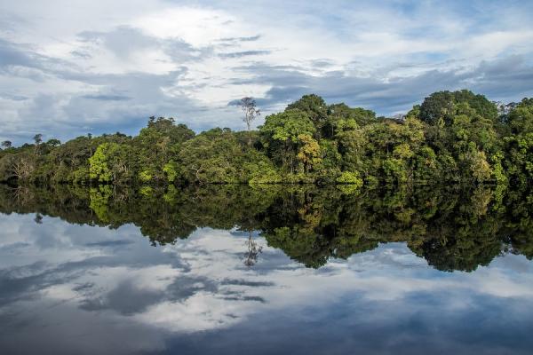 Parc national de Jaú